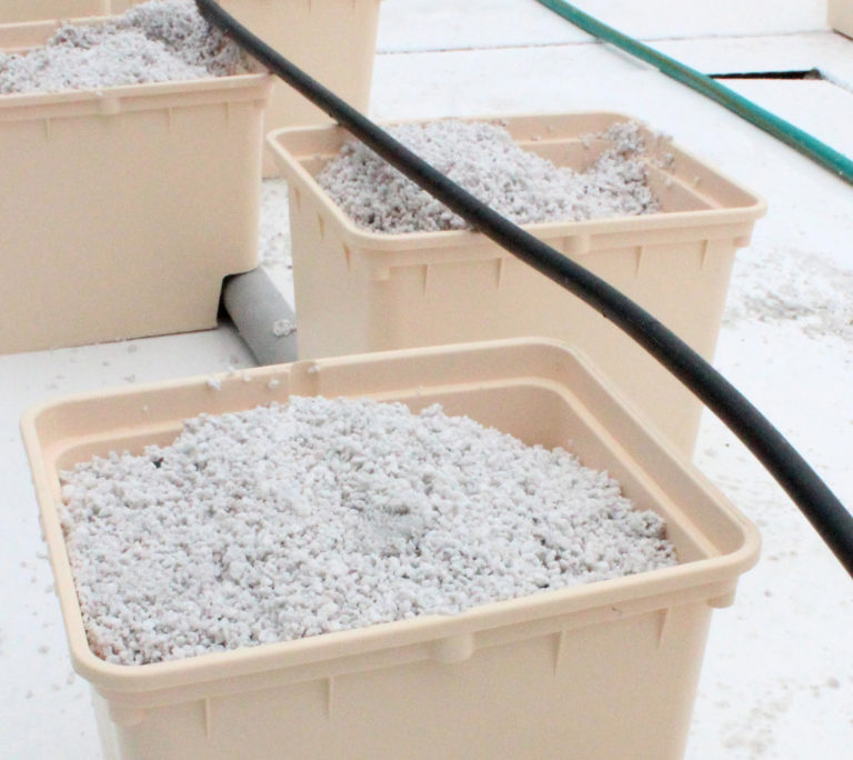 fertilizer for bato buckets fertilizer for bato buckets