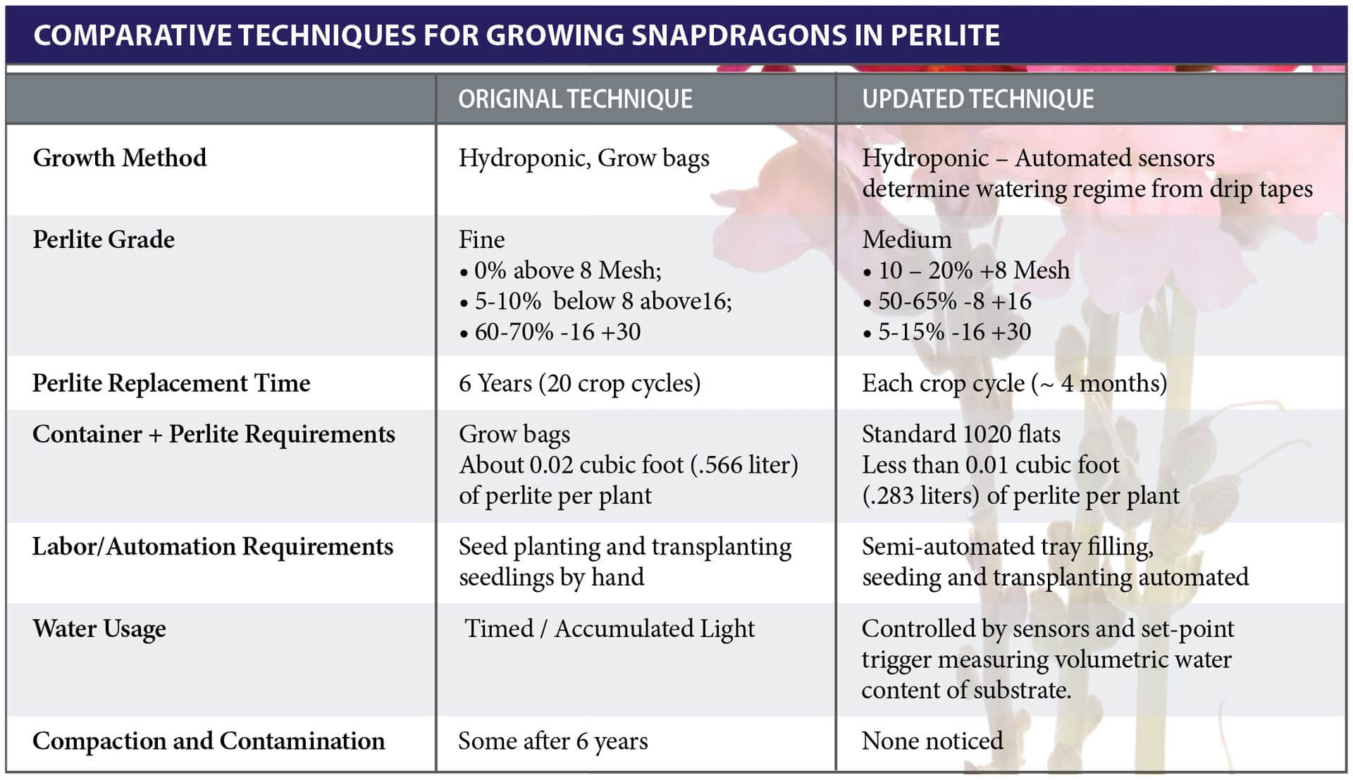Snapdragon Reproduction Snapdragon Production in Perlite - Perlite Institute