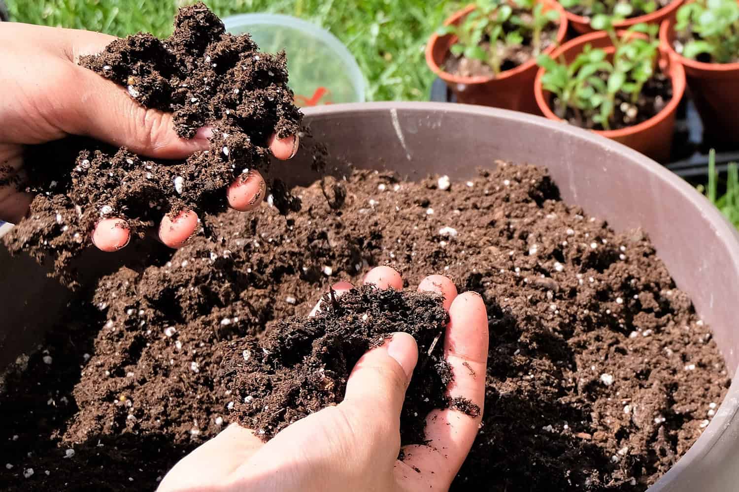 Perlite for Lawns and Gardens - Perlite Institute